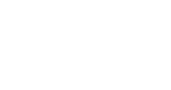 dynasys
